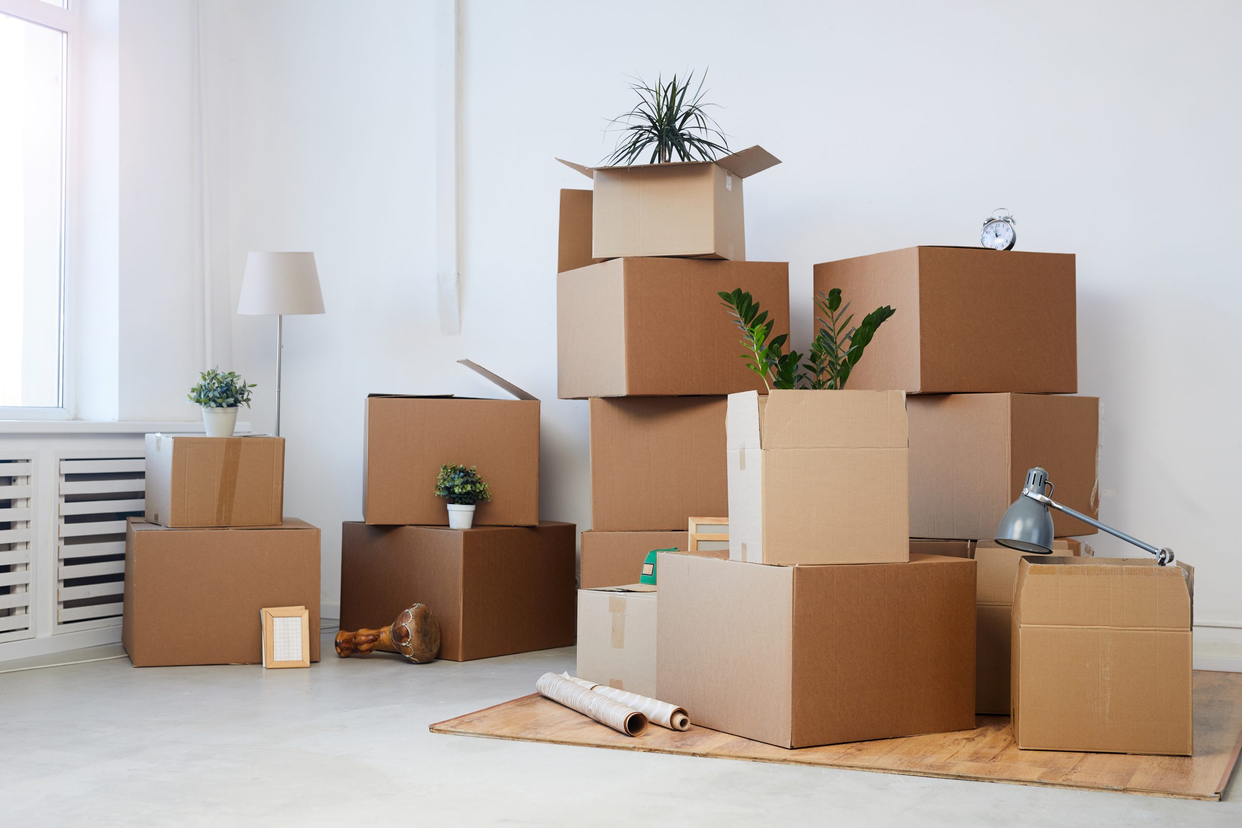 Couple Moving Into Apartment